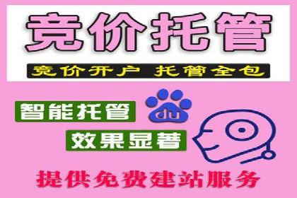 百度竞价排名案例：如何应对竞争对手的挑战